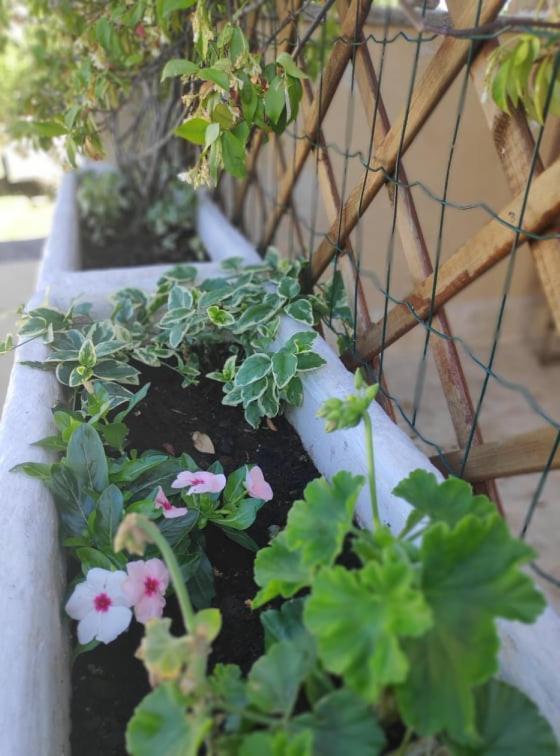 Apartmani Lucica Jezera Kültér fotó