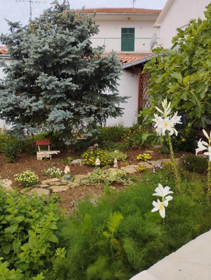 Apartmani Lucica Jezera Kültér fotó