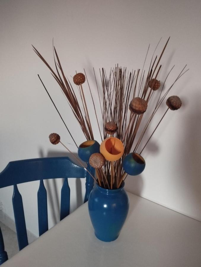 Apartmani Lucica Jezera Kültér fotó